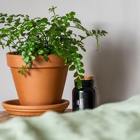 't Oventje * Zeeland