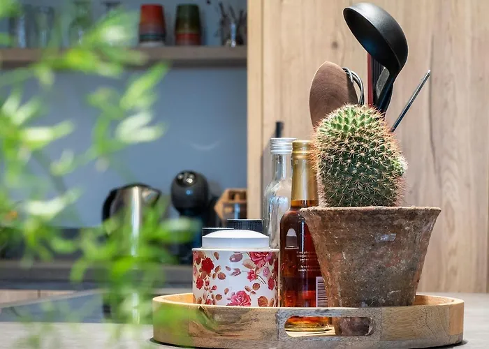 't Oventje ゼーラント