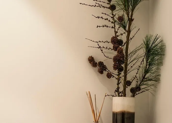 't Oventje * ゼーラント